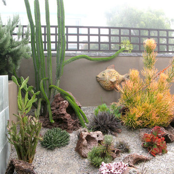 Ocean Inspired Succulent Garden