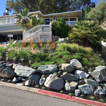 Landscape Design & Installation