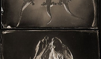 Фотографирую играя