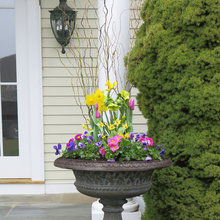 Container Gardens
