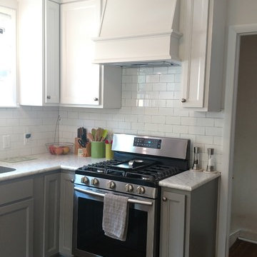 NE Grand Rapids Kitchen & Half Bath Remodel