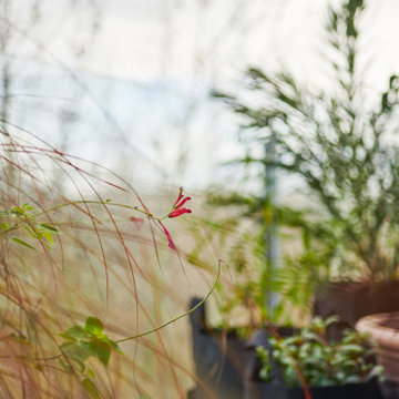 Grand balcon naturel