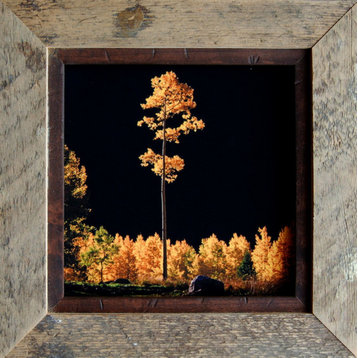 Rustic Frames, Barnwood Frame With 1/2" Alder Inset, Park City Series, 4"x4"