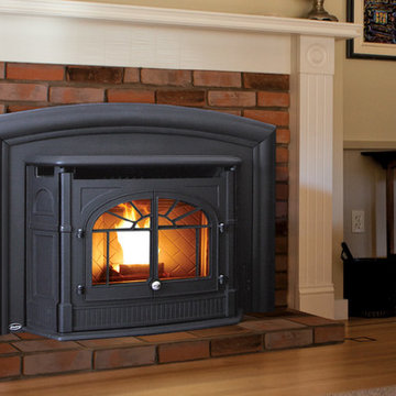Empress Cast Iron Pellet Fireplace Insert