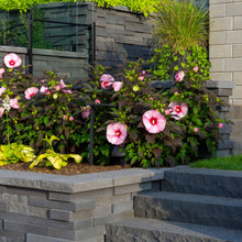 Flower Boxes