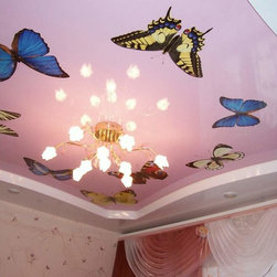 What is a Photo or Stretch Ceilings? - Products