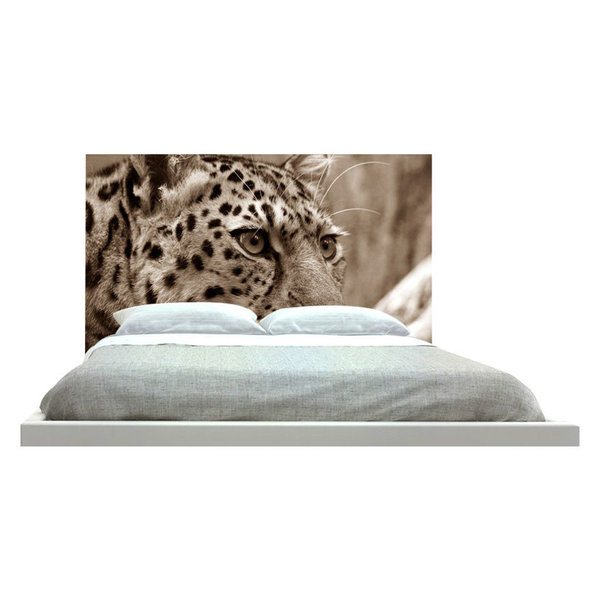 cat headboard
