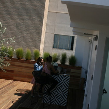 Roof deck & planter boxes/Landscaping.