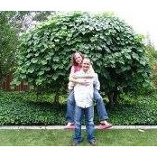 Amber Andreasons foto