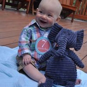 Kristin Mitchell's photo