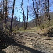 Foto von Megan Cline