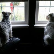 Penelope McGowan's photo