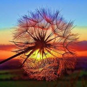 Anna Mae Pesusich's photo