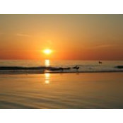 Barbara Becker's photo