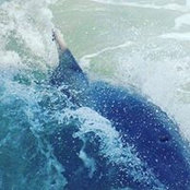 Channon Pratt's photo