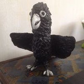 Kaye Clancy's photo