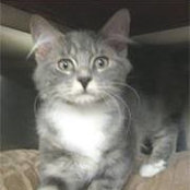 Susan Rigby's photo