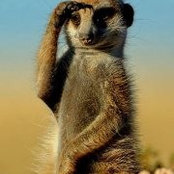 Cassie Smit's photo