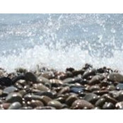 Rita Ramsdale's photo