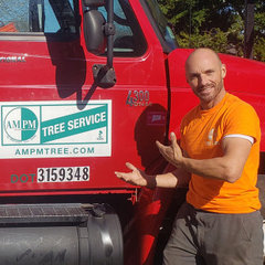 AM PM Tree Service