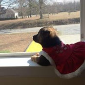 Bridget Waid's photo