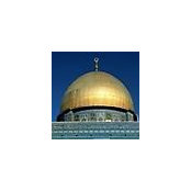 Gamal Salluma's photo