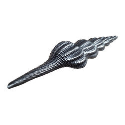 Dartefax - Turrid Sea Shell Pull - Cabinet And Drawer Handle Pulls