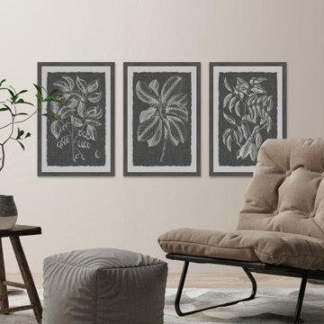 Graphic Foliage VI Triptych