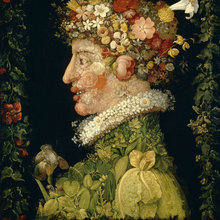 vegetable portraits