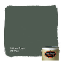Paint Colors