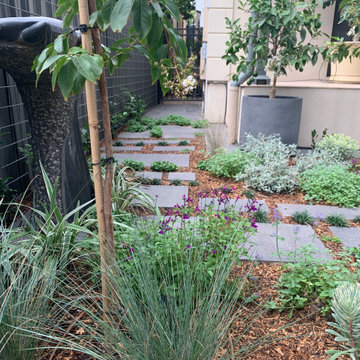 Norwood | Front Garden