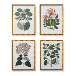 Bamboo Botanicals Giclee Prints - Artwork