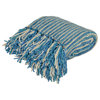 50"x60" Caiden Chenille Fringe Decorative Throw, Blue-green