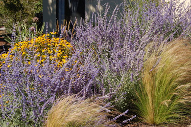Inspiration for a mediterranean landscaping in San Francisco.