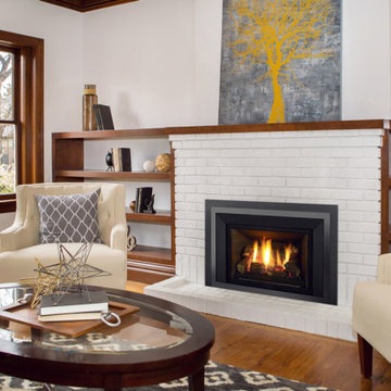 Gas Fireplace Inserts