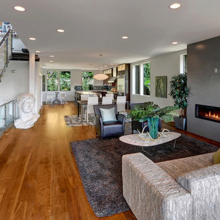 Kolonialstil Wohnzimmer mit Kaminumrandung aus Beton Ideen, Design