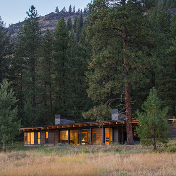 Big Pine