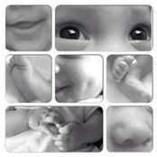 Linda Padilla de Castillo's photo