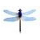 Yuvraaj Kapoor's photo