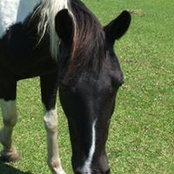 Erin Robertson's photo