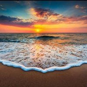Alison Lopez's photo