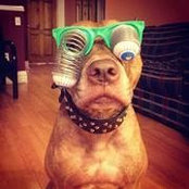 Olivier Aghaby's photo