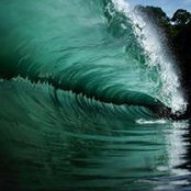 Roberta Pereira's photo
