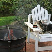 Sheila Whitehead's photo