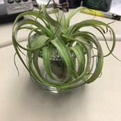 Maria Sandberg's photo