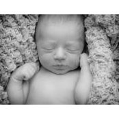 Carlee Platt's photo