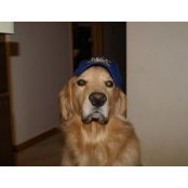 Dennis Packard's photo