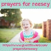 Lisa Stull's photo