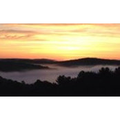 Jackie Siegmann's photo