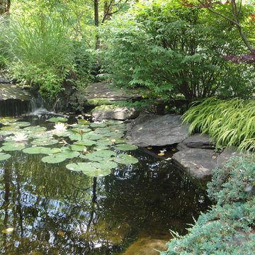 Water Features : Ponds, Waterfalls & Fountains